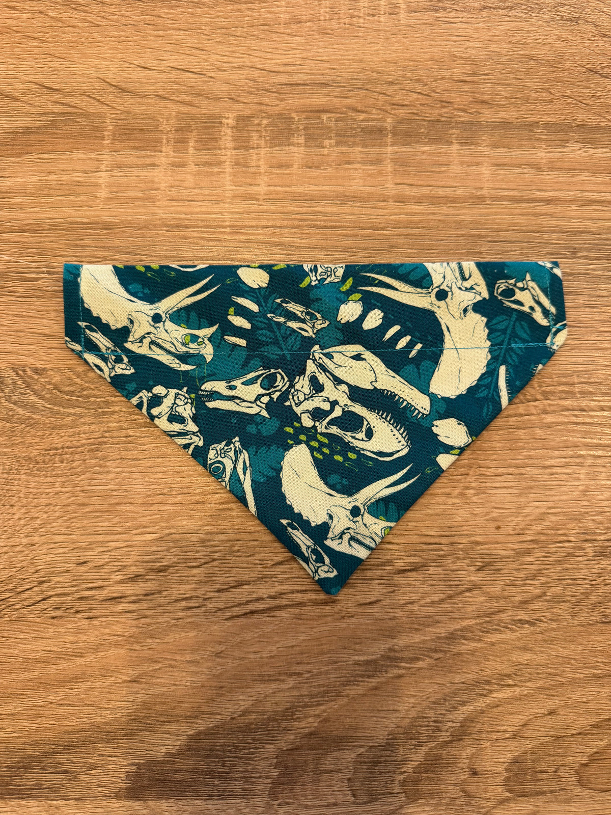 Dinosaur Skull Bandana