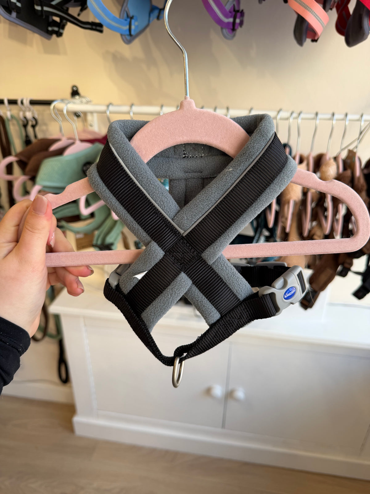 Padded Harness