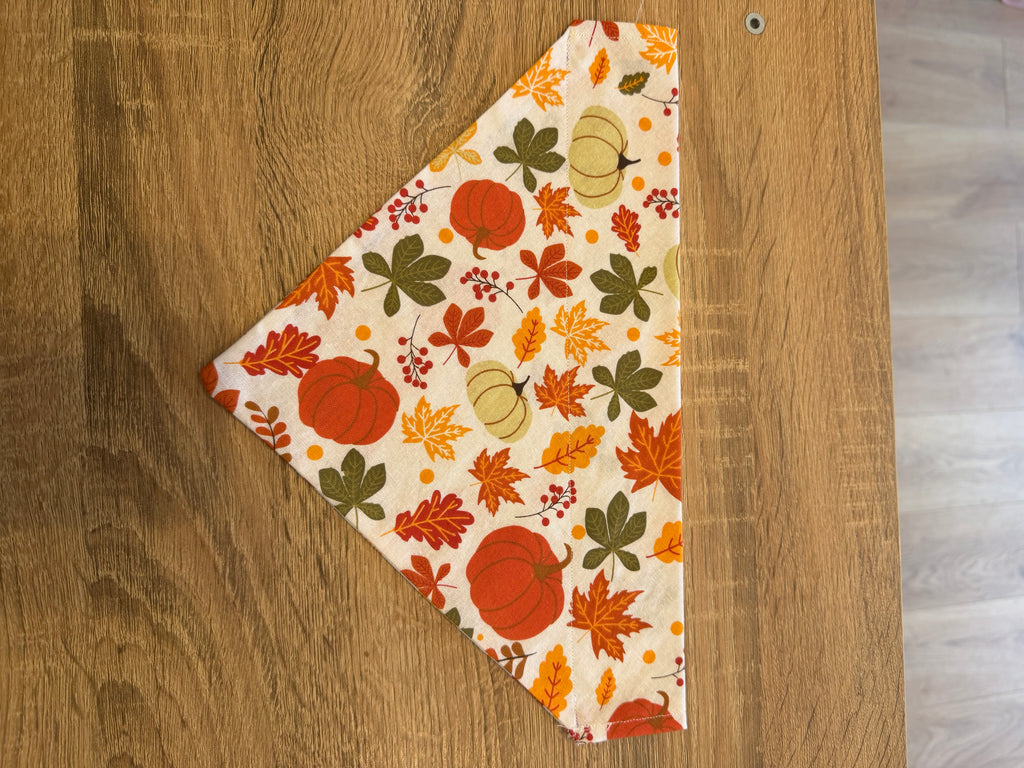 Pumpkin & Leaves Bandana