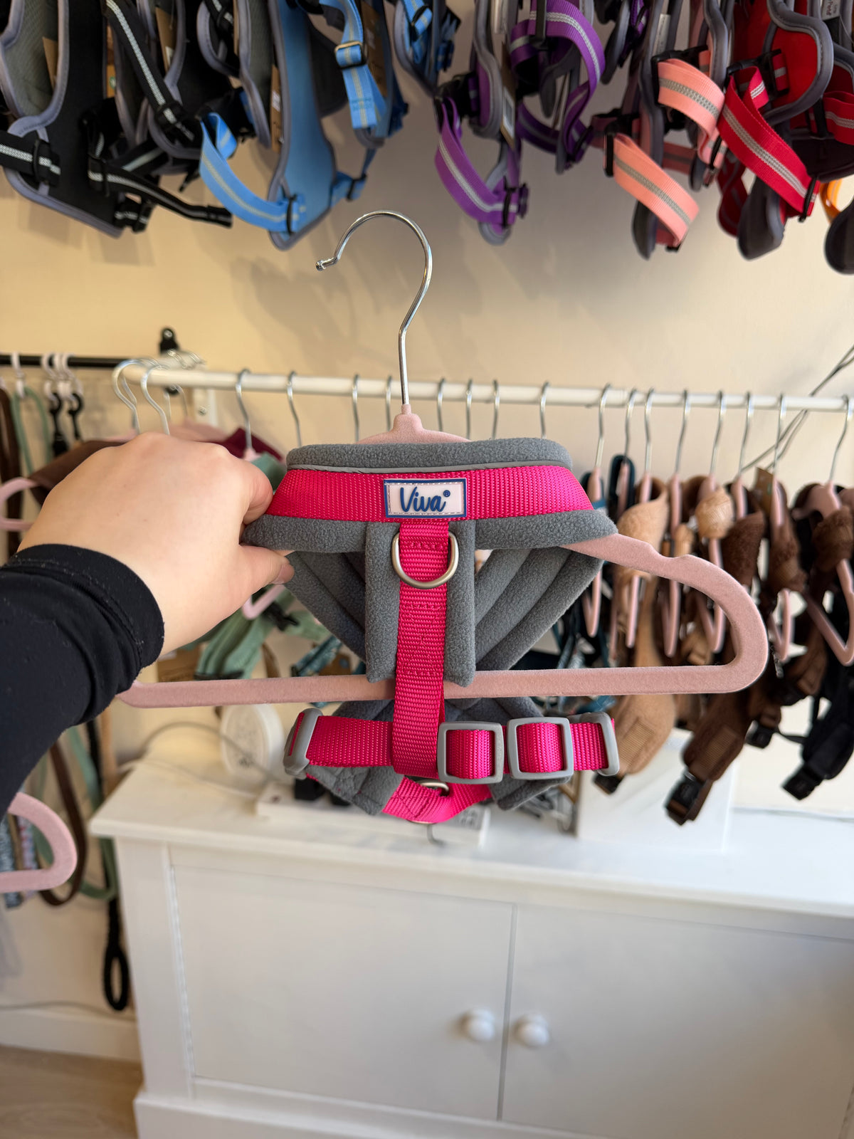 Padded Harness