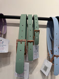 Trinkety Paws Sage Green Biothane Waterproof Collar