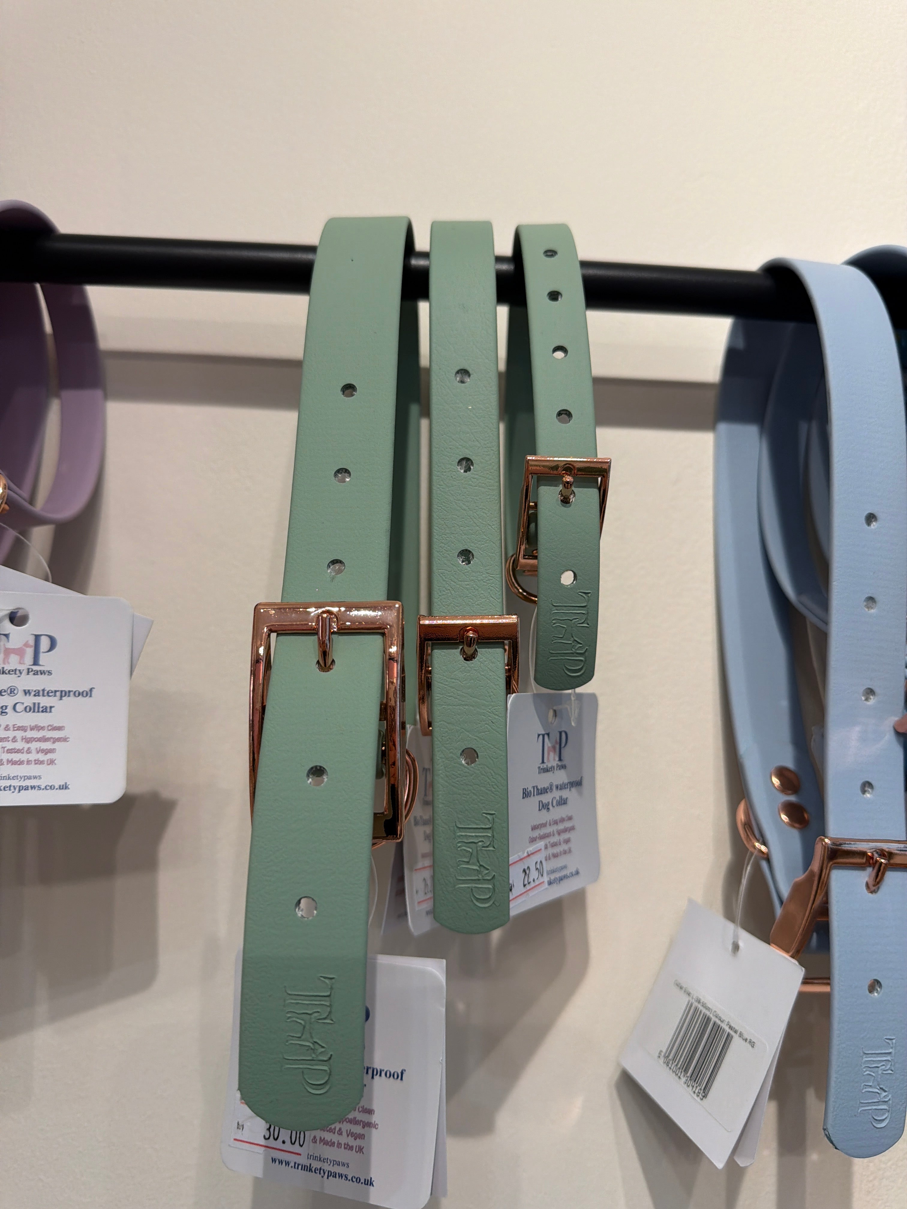Trinkety Paws Sage Green Biothane Waterproof Collar