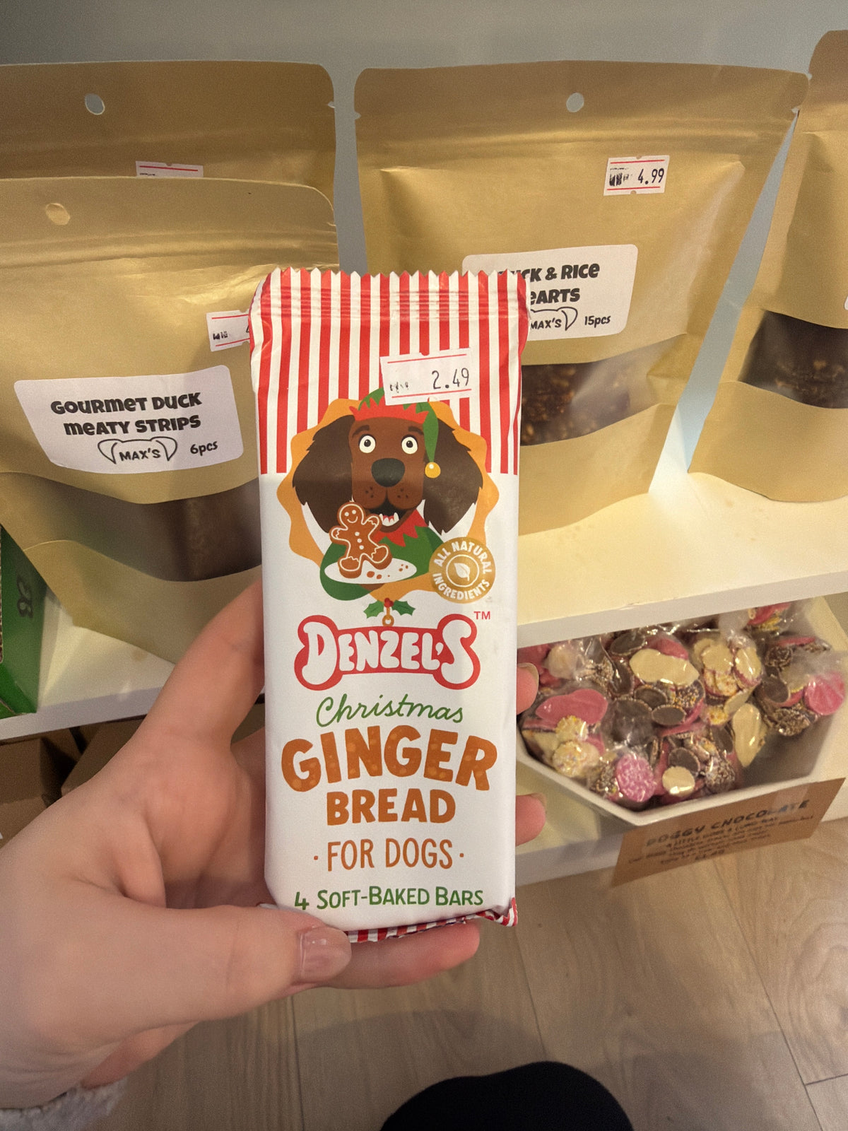 Gingerbread Soft Bakes