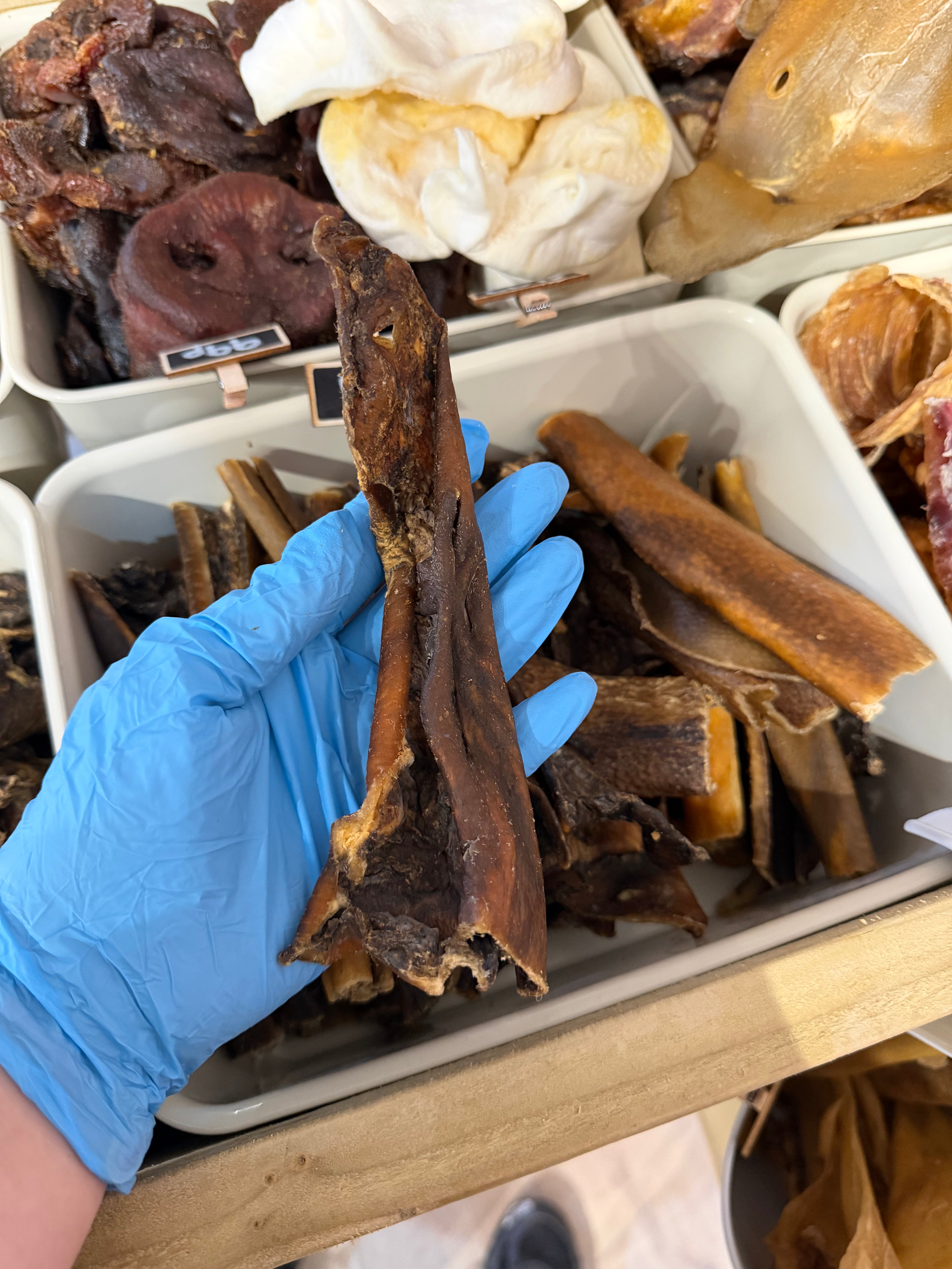 Wild Boar Skins