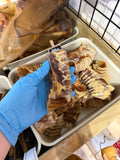 Beef Trachea