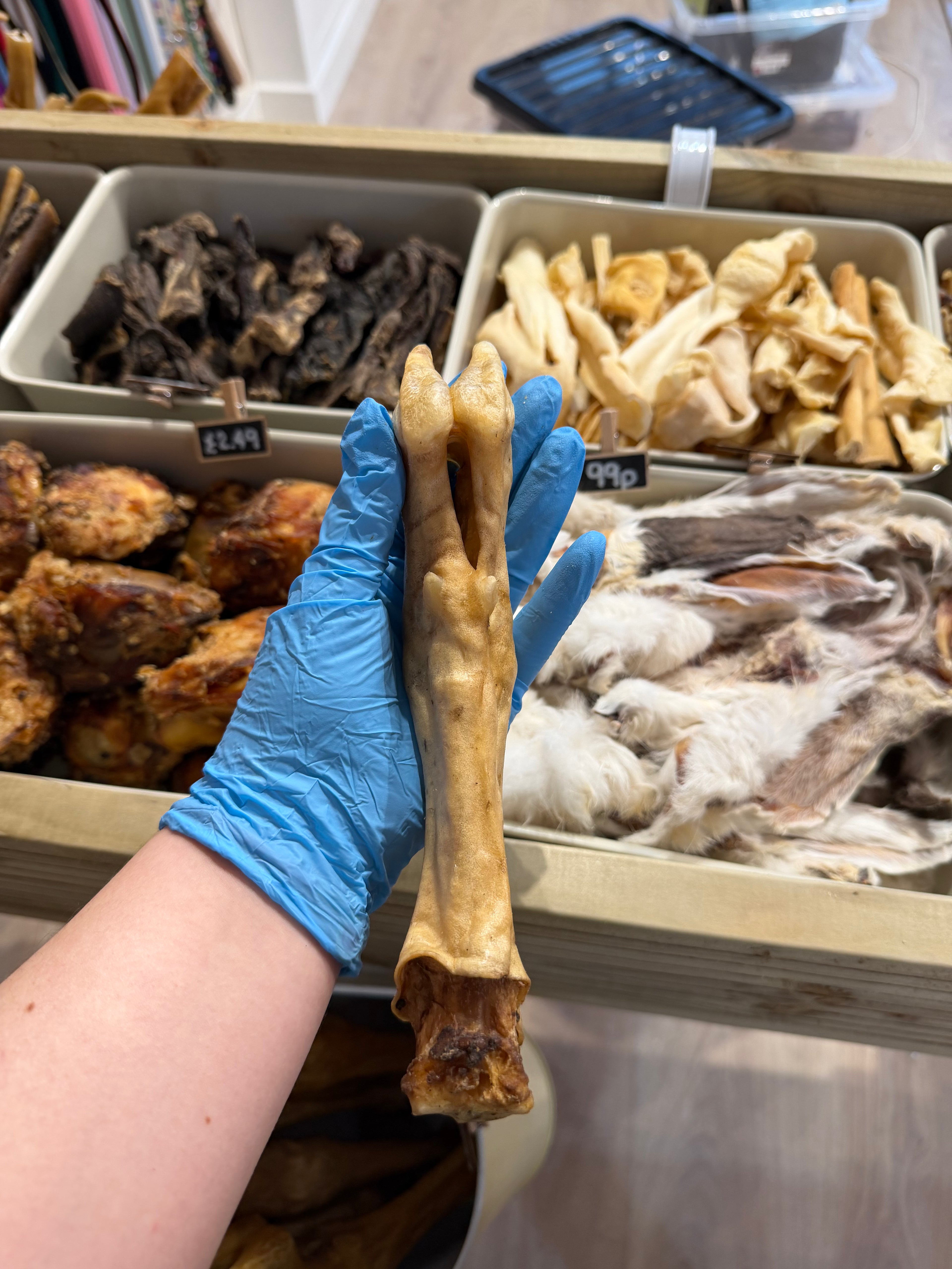 Lamb Foot