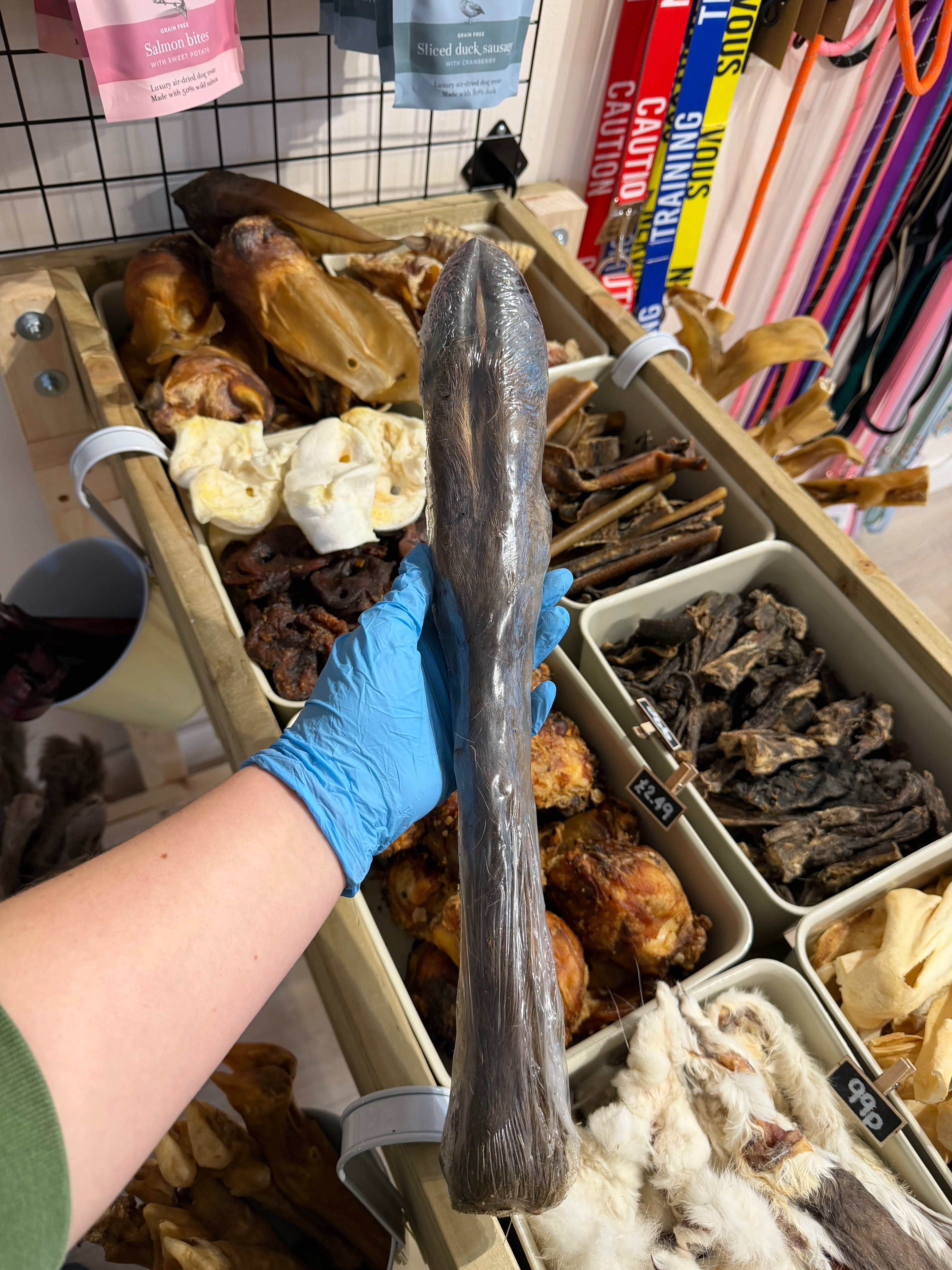Venison Leg