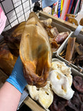 Buffalo Ear