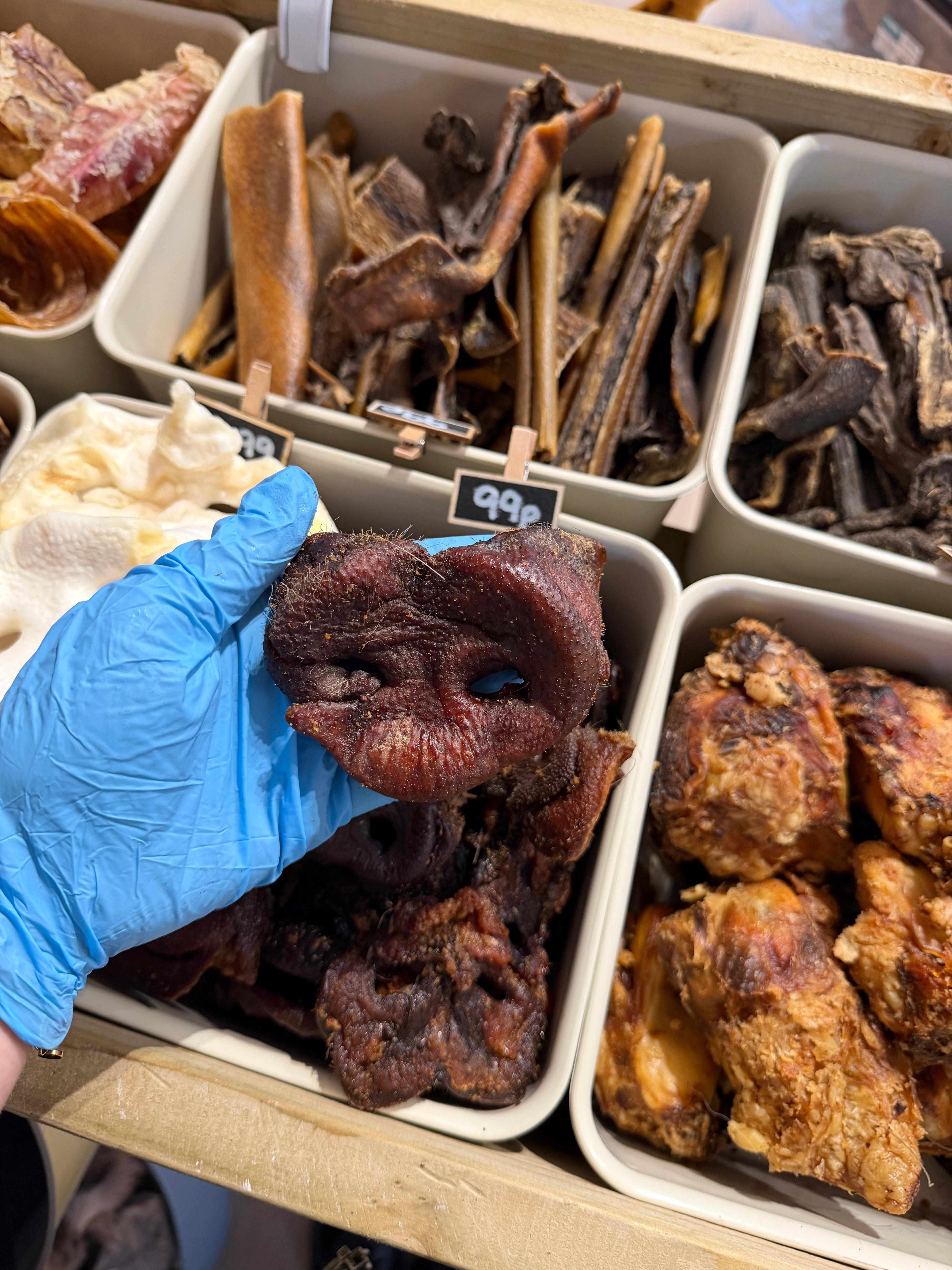 Pig Snout