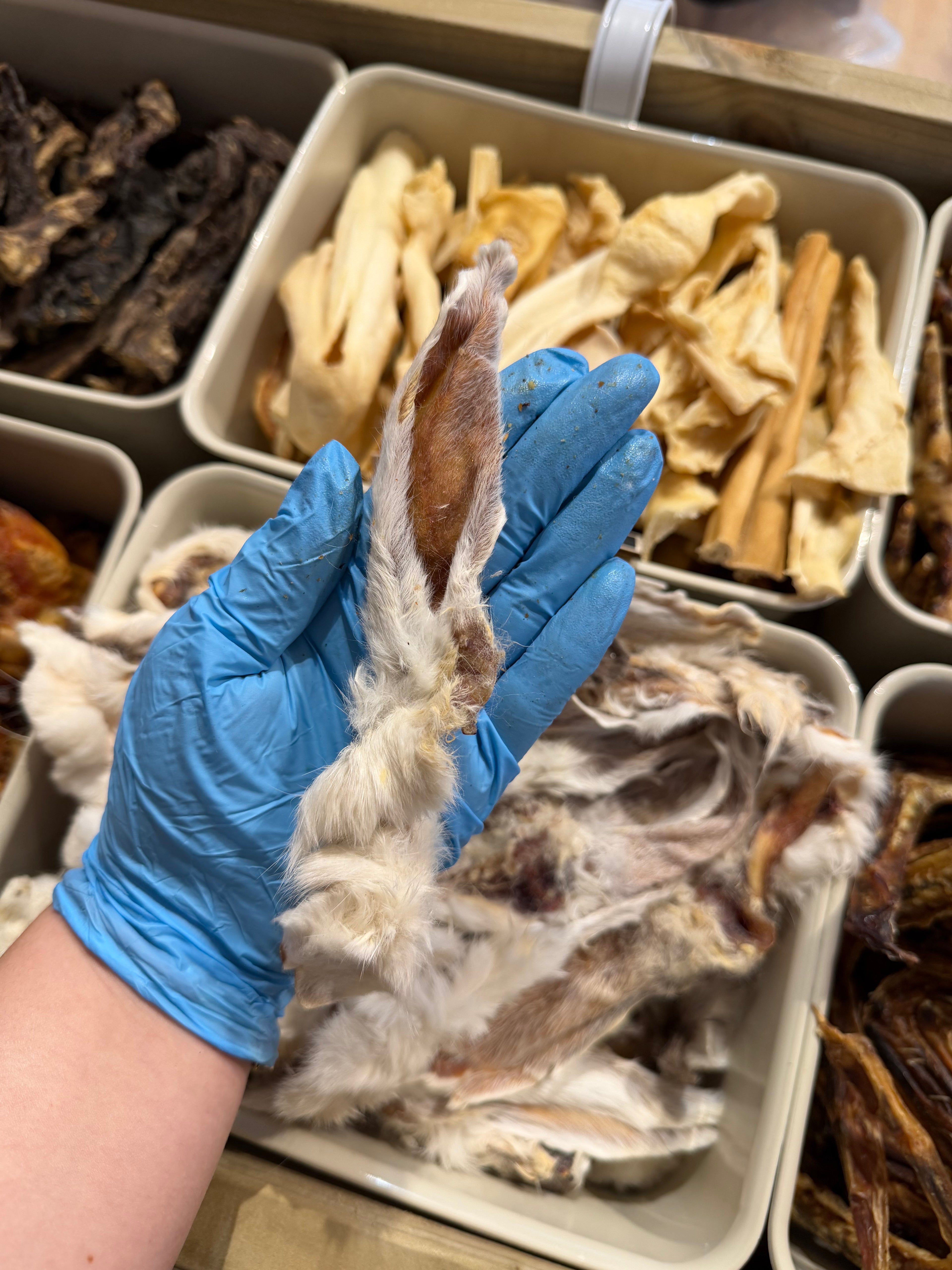 Rabbit Ear