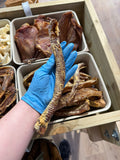 Lamb Trachea