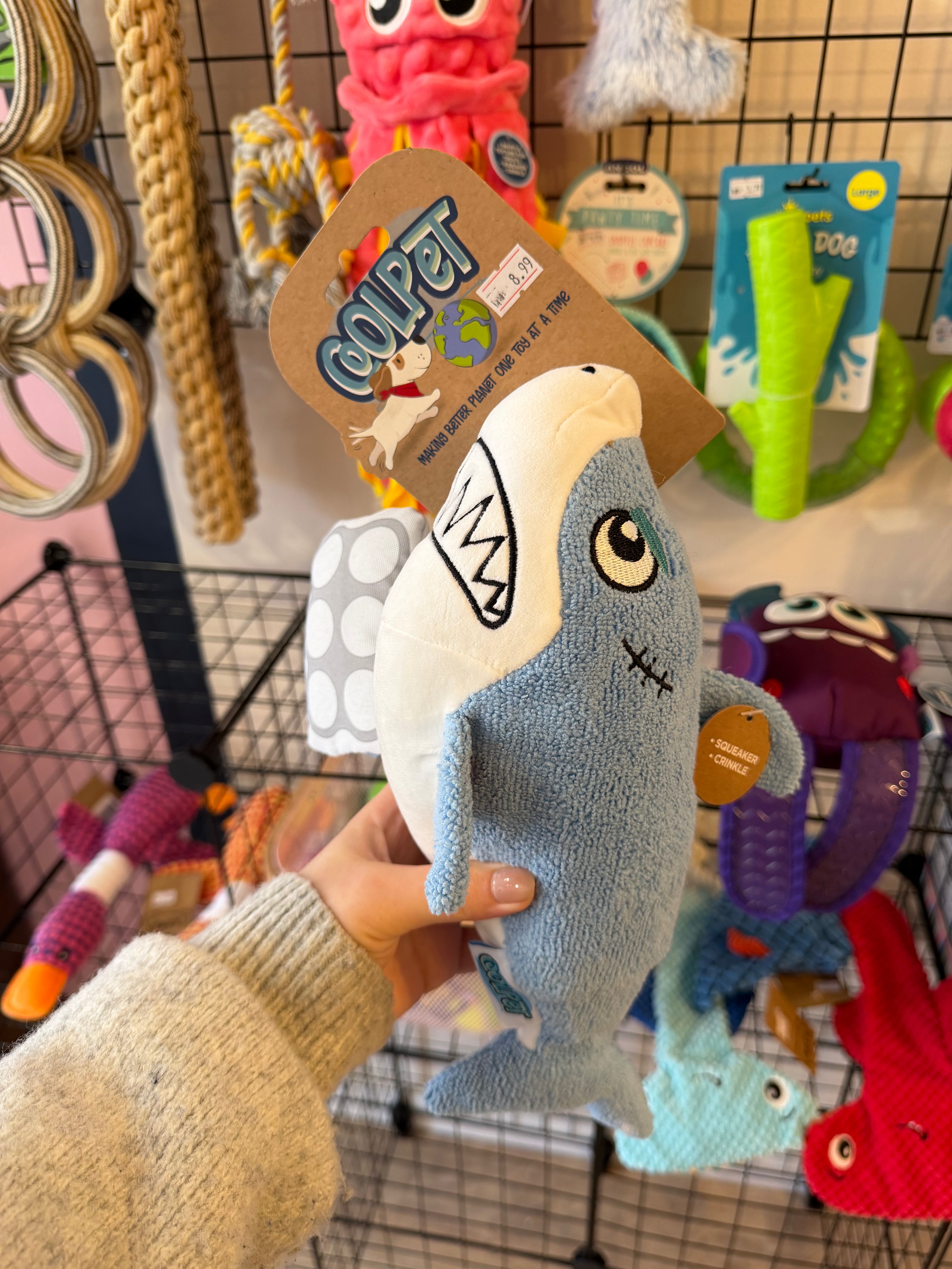 Recycled Eco - Shark