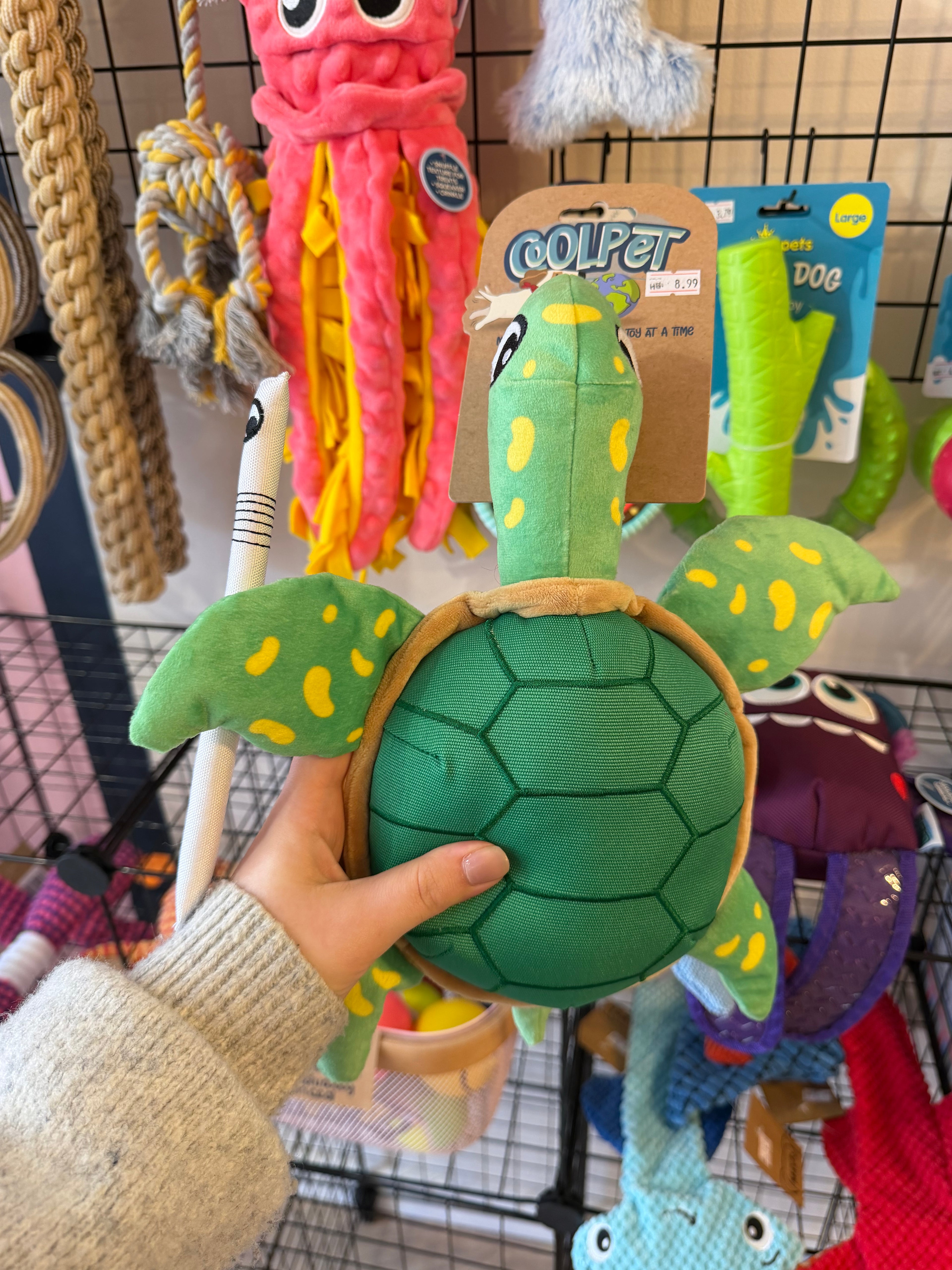 Recycled Eco - Turtle