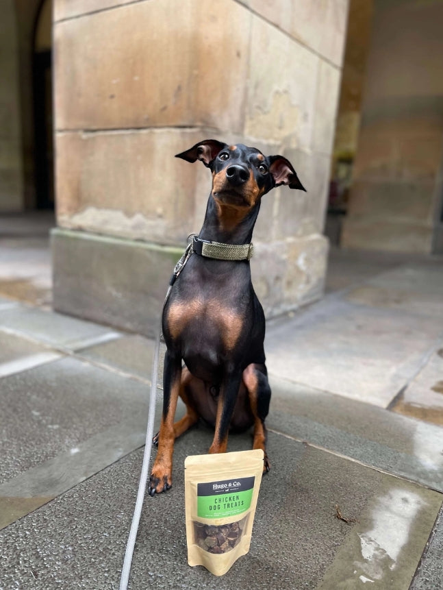 Hugo & Co - Chicken Dog Treats 75g