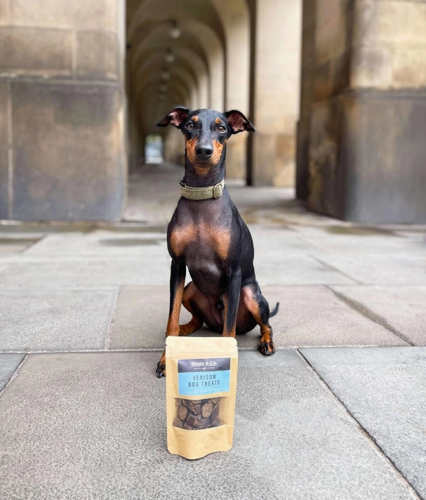 Hugo & Co - Venison Dog Treats