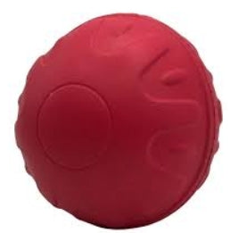 Aqua Dog -  Floating Ball