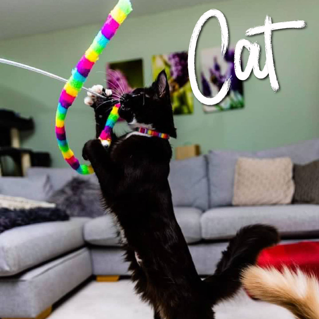 Ancol Wiggle Worm Rainbow  Cat Dangler Toy