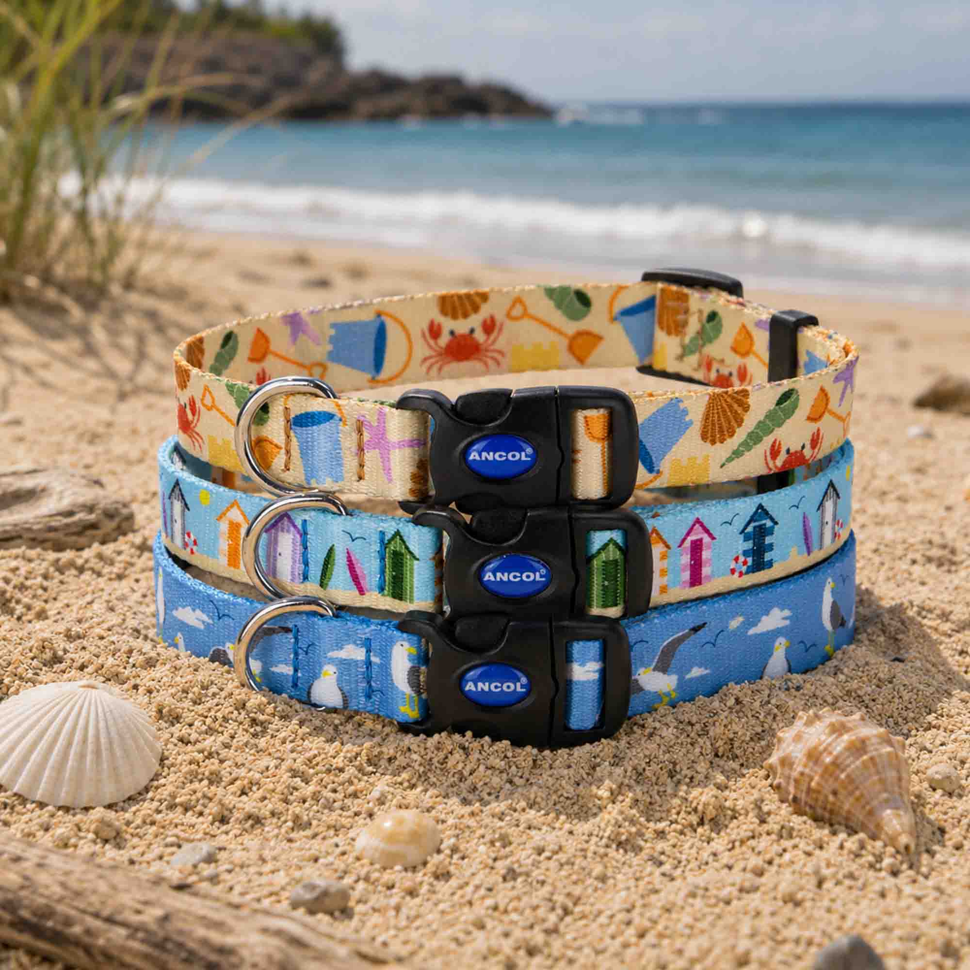 Soho Bucket & Spade Pattern Dog Collar