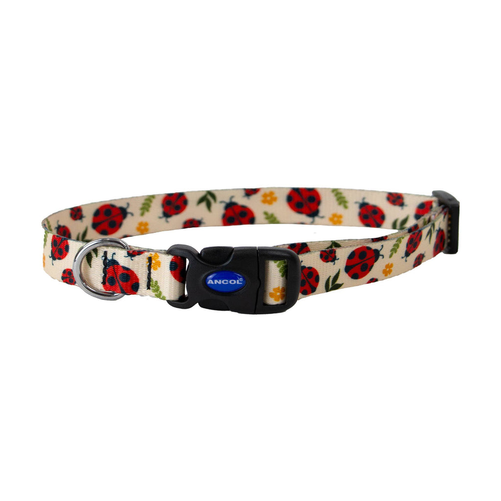 Soho Ladybird Dog Collar With Recycled Webbing