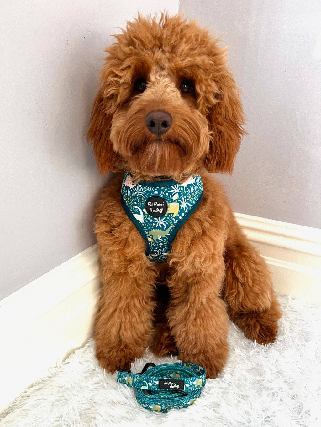 Dino Rawr Dinosaur Dog Puppy Harness
