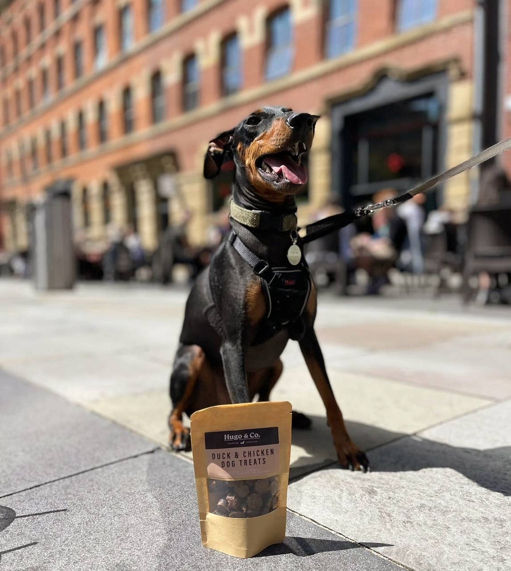 Hugo & Co - Duck & Chicken Dog Treats -75g