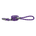 HugglePets Reflective Rope Slip Dog Lead