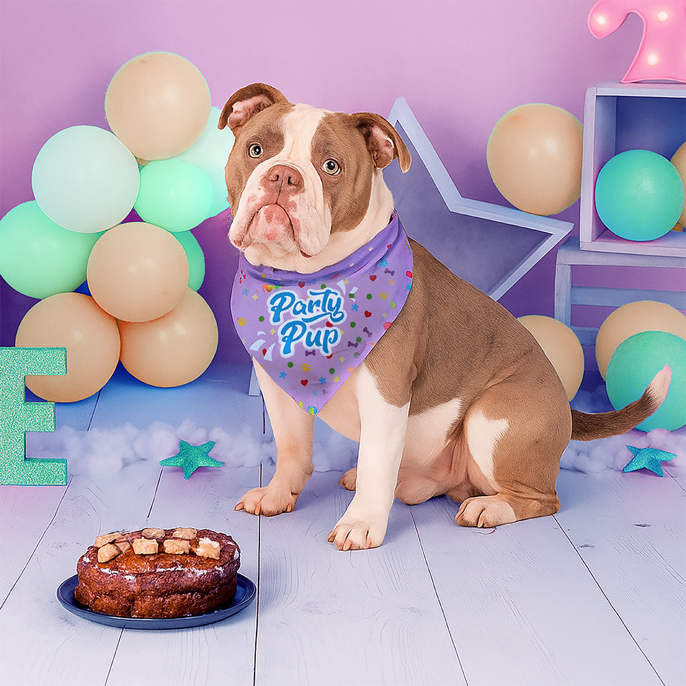 HugglePets Party Pup Dog Bow Tie & Bandana Set