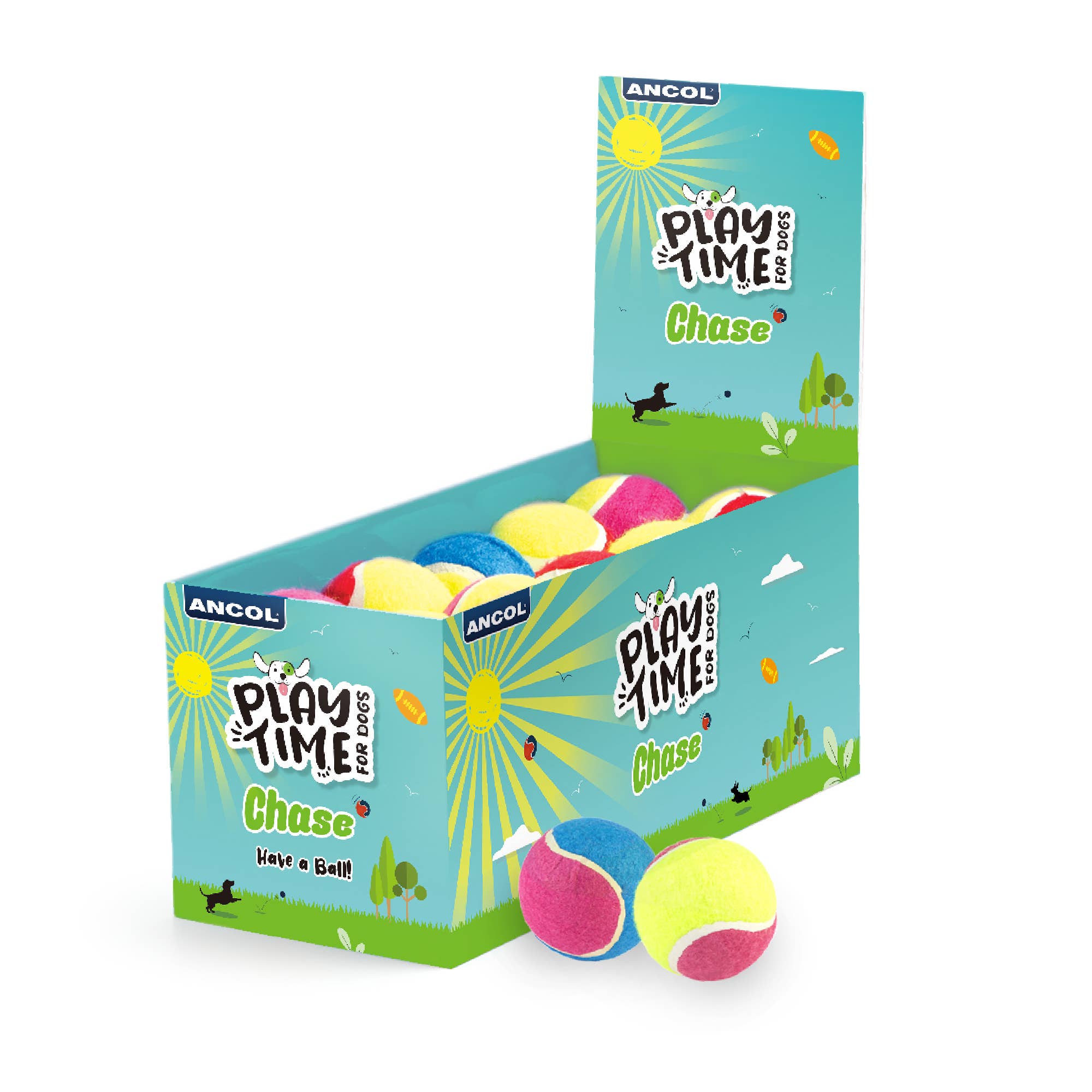 Play Time For Dogs- Chase Tennis Balls