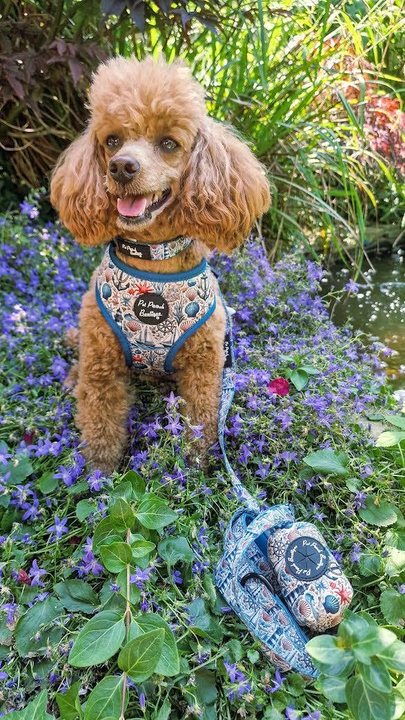 Shipwrecked Nautical Puppy Dog Harness