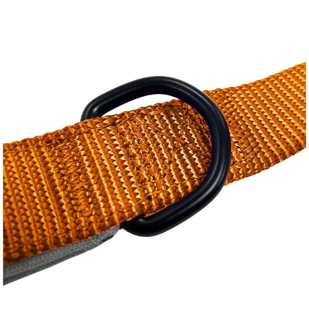 HugglePets Padded Nylon Dog Lead
