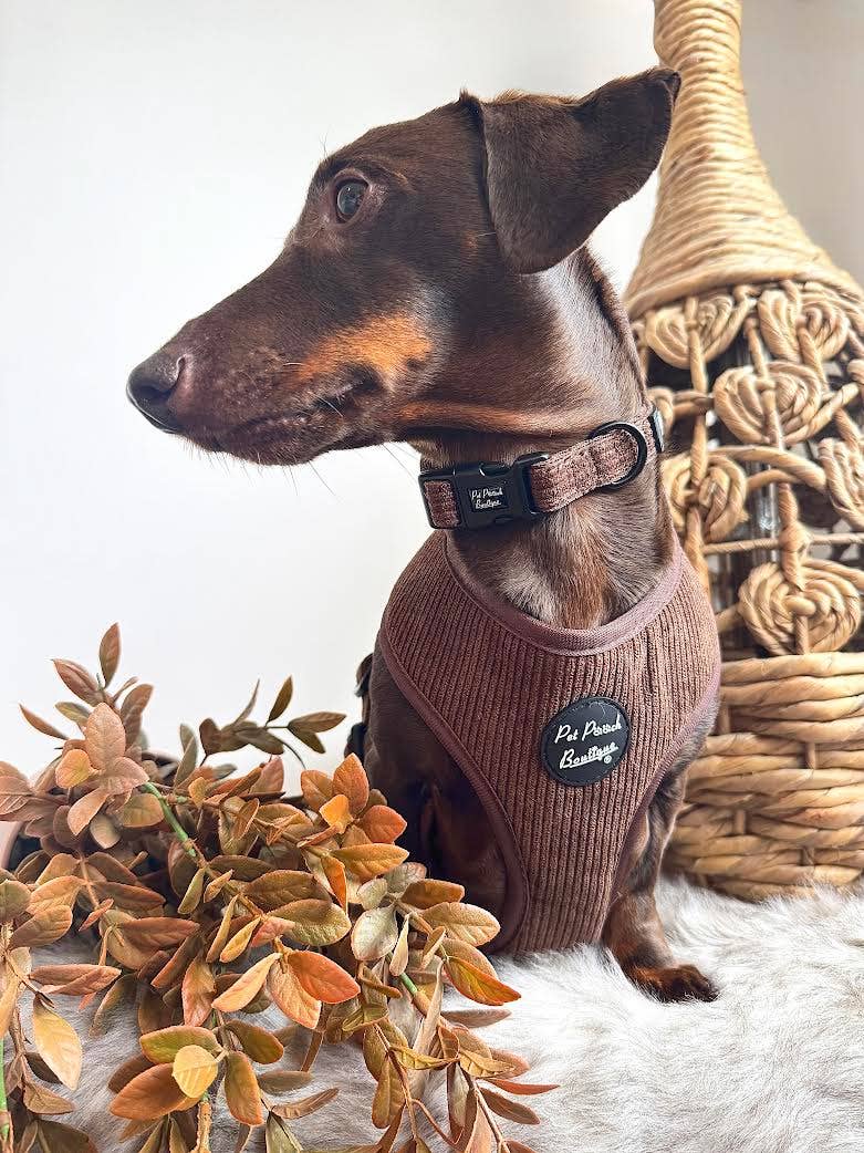 Coffee Bean Cord Puppy Dog Harness