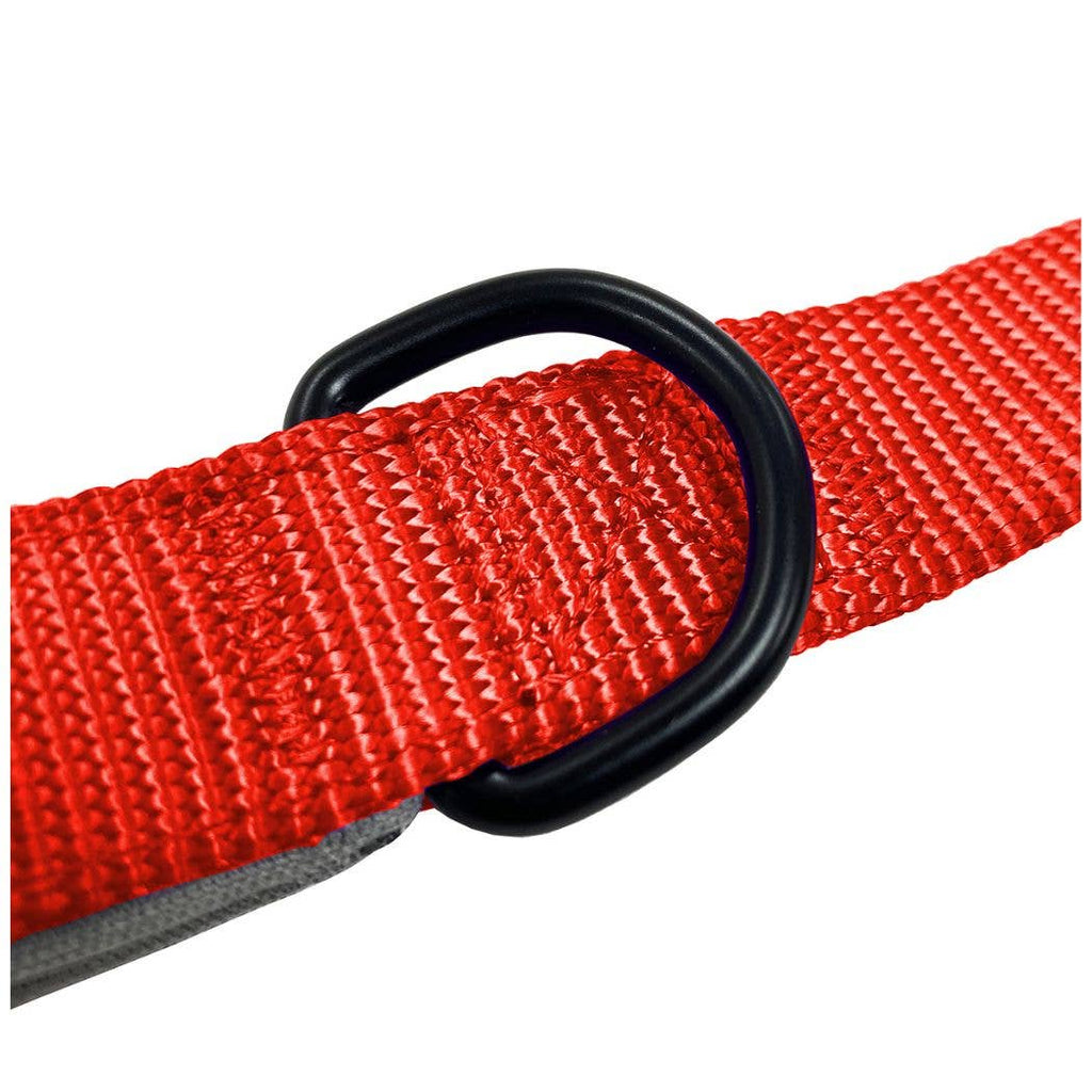 HugglePets Padded Nylon Dog Lead