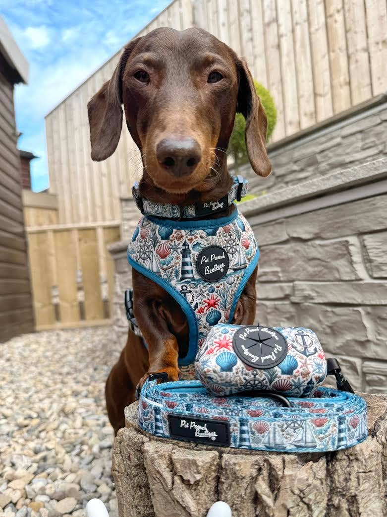 Shipwrecked Nautical Puppy Dog Harness