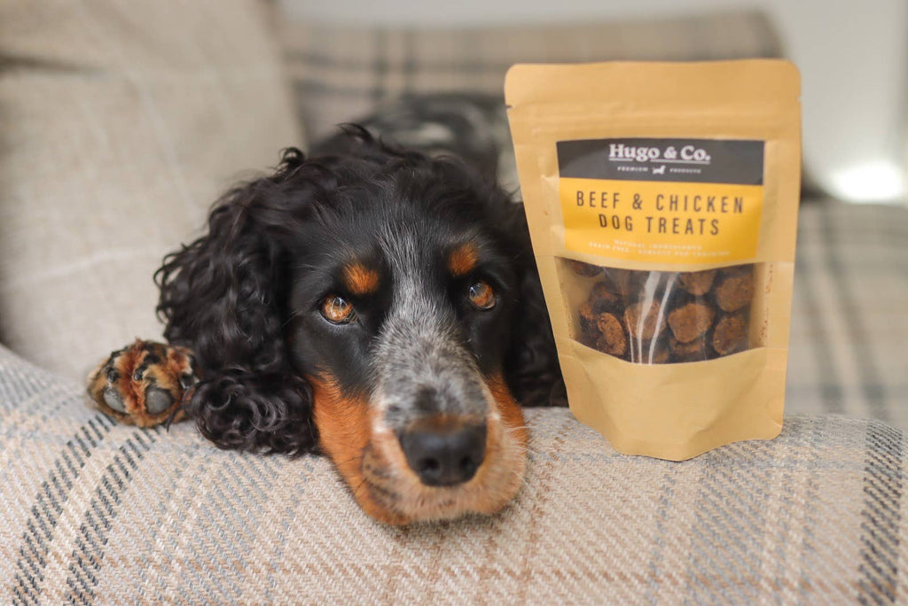 Hugo & Co - Beef & Chicken Dog Treats - 75g