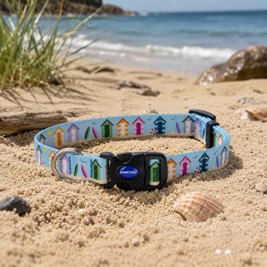 Soho Summer Beach Hut Pattern Dog Collar